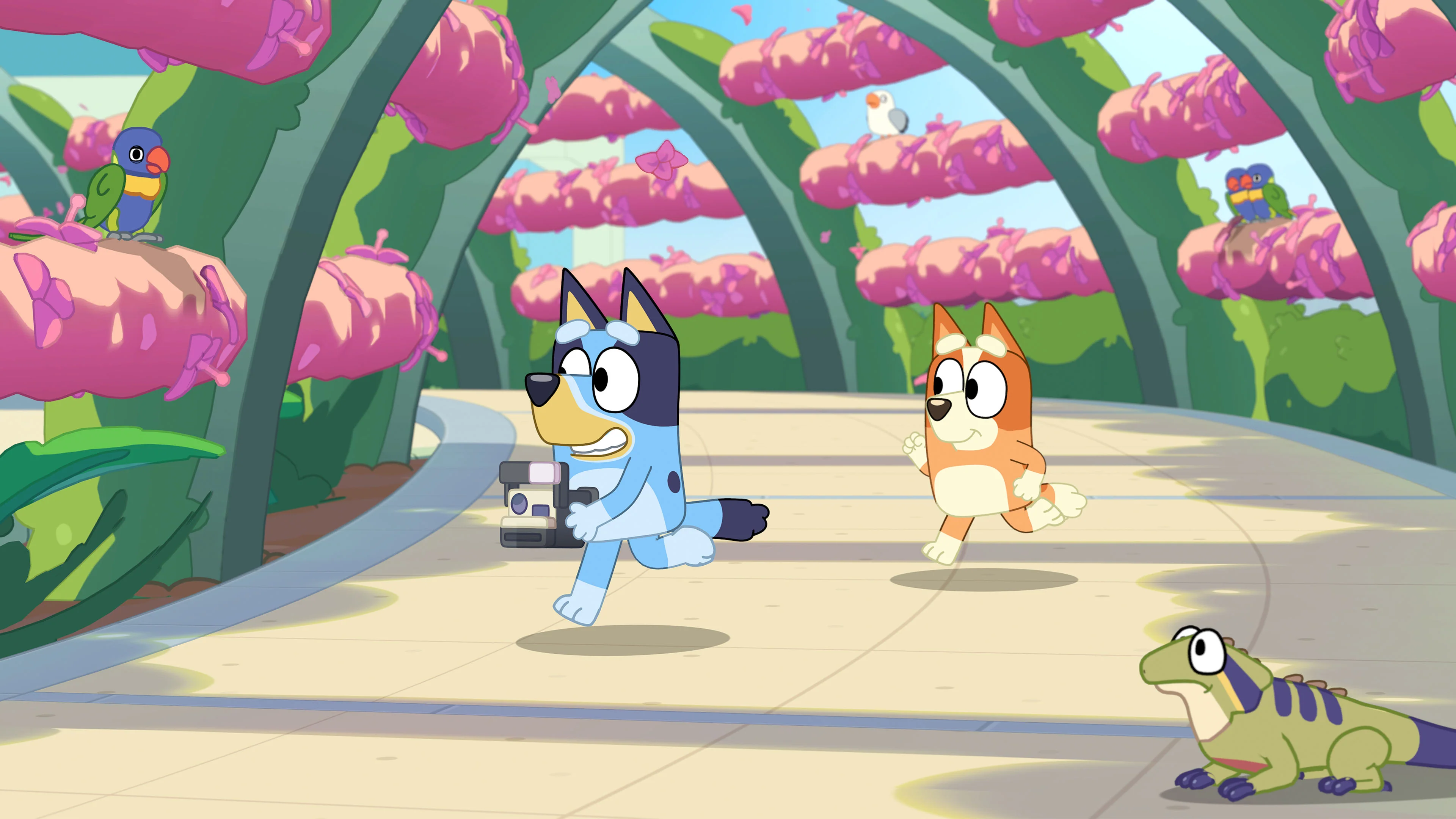 BLUEY’S HAPPY SNAPS - Deluxe Edition (Xbox Series X) - Image 7