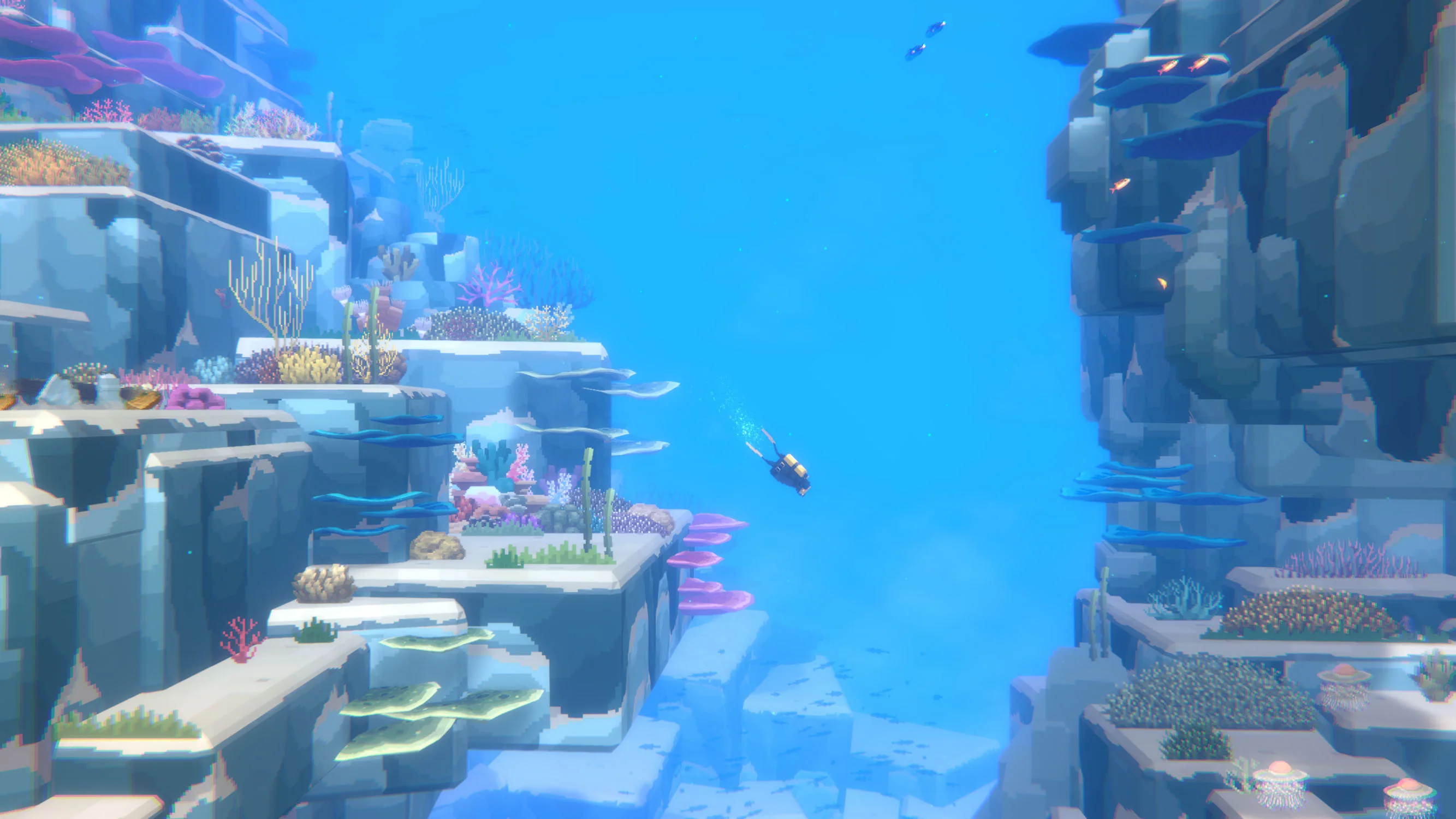 Dave the Diver Complete Edition (Switch 2) - Image 4