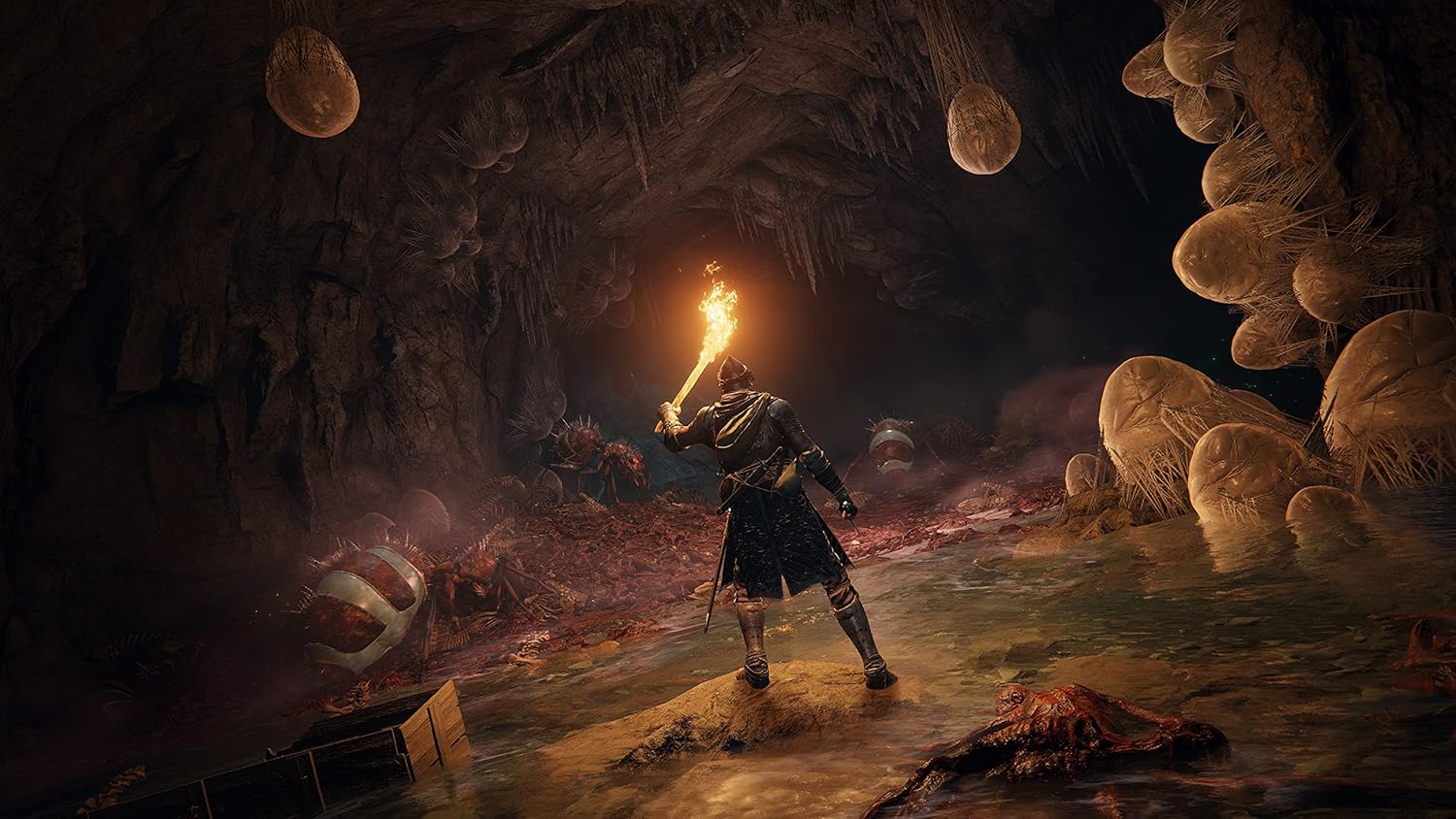 Elden Ring (PS4) - Image 5