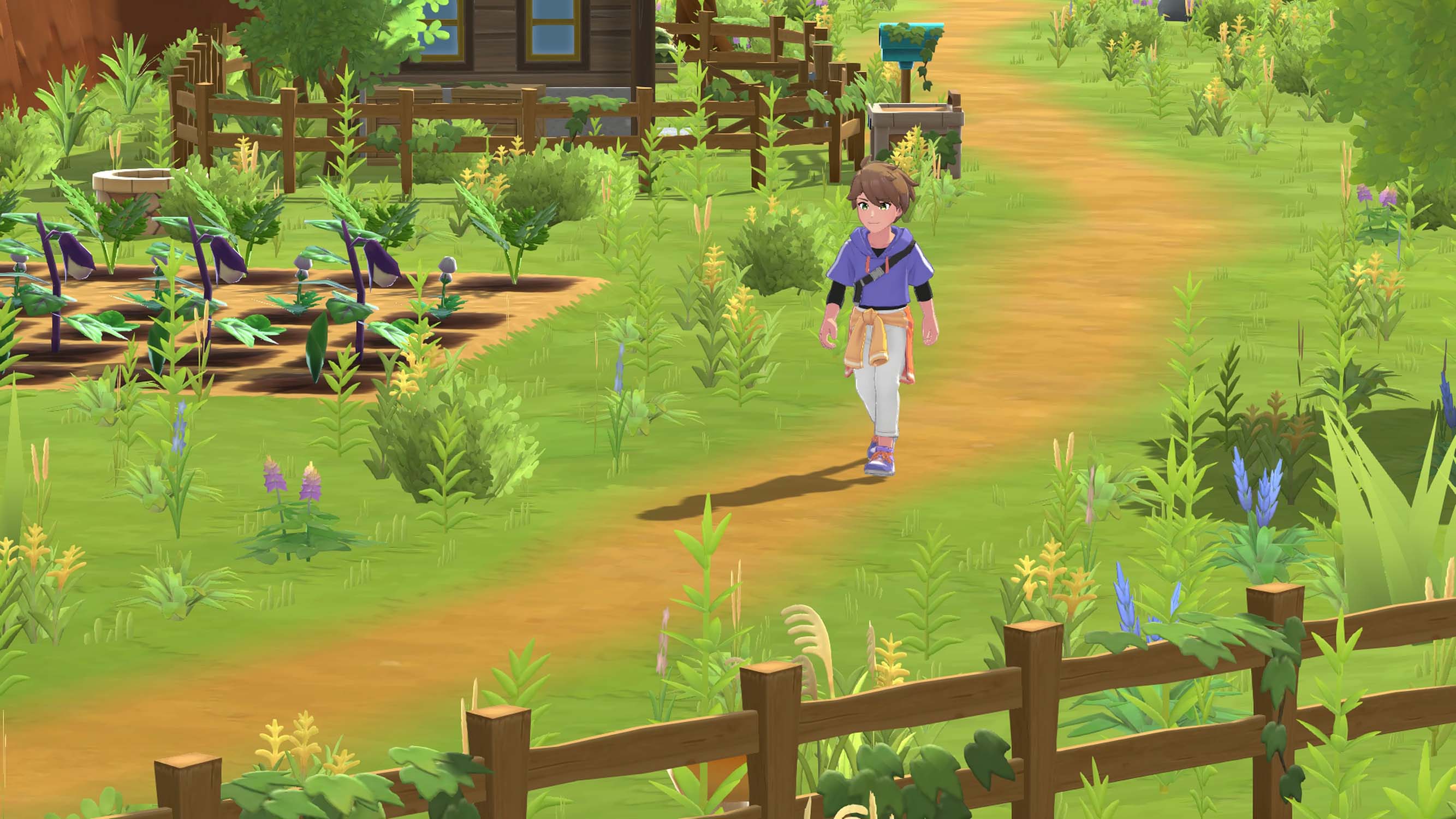 Harvest Moon: Home Sweet Home Special Edition (PS5) - Image 2