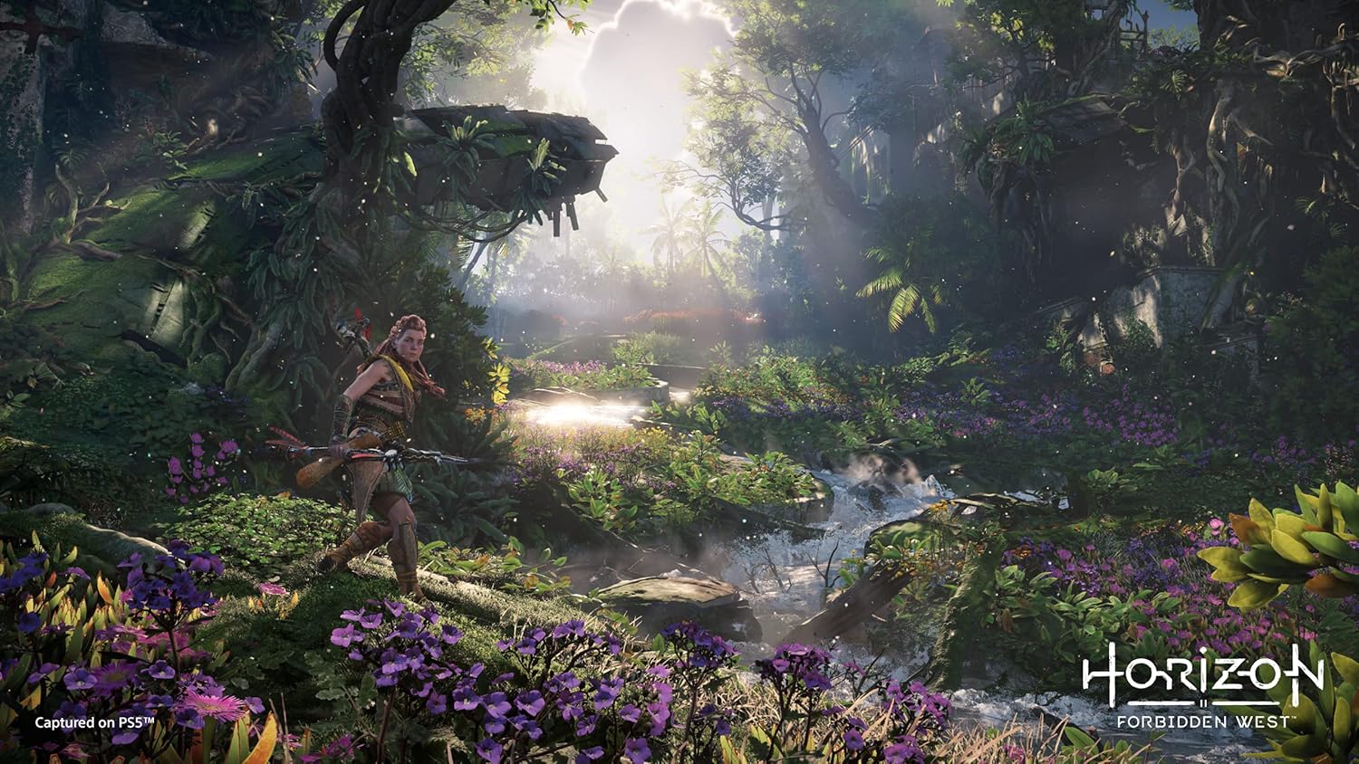 Horizon Forbidden West (PS4) - Image 2