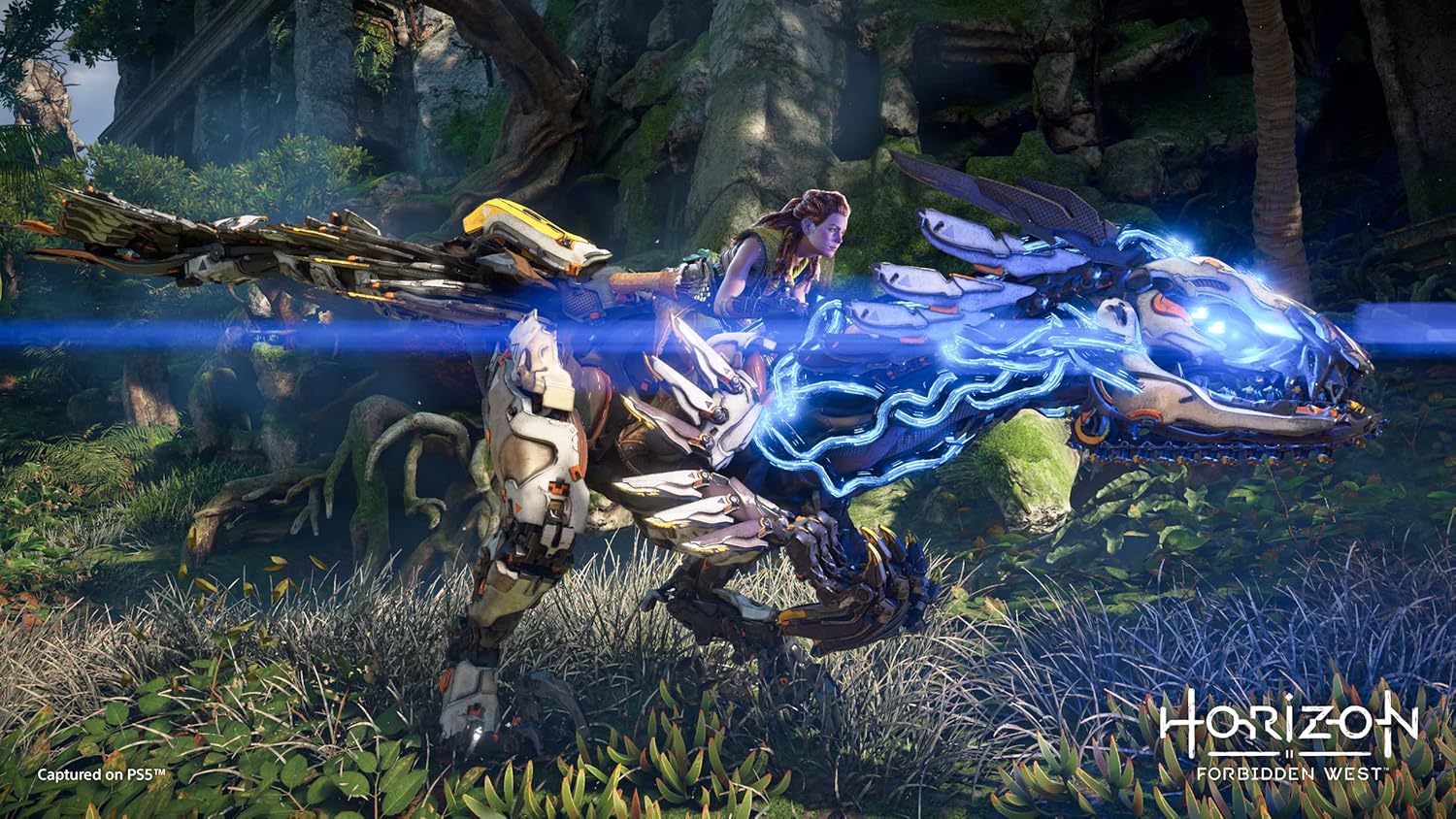 Horizon Forbidden West (PS4) - Image 4