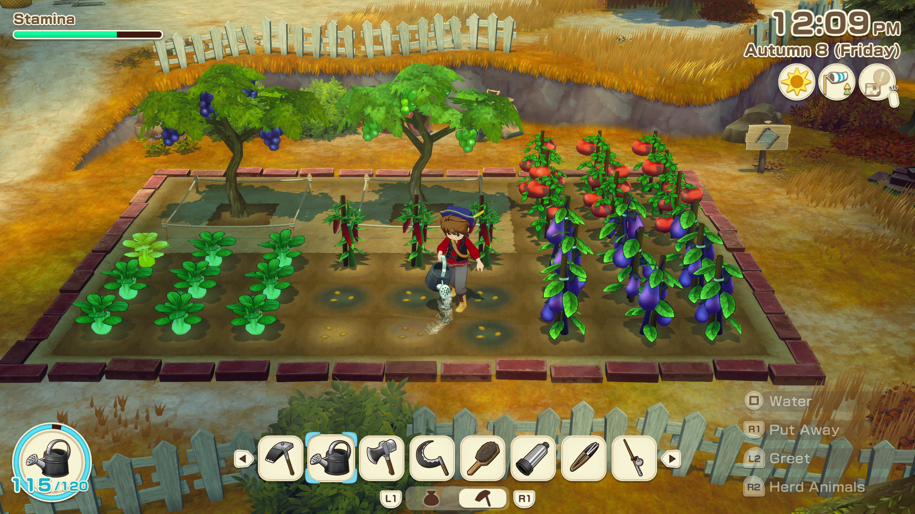 STORY OF SEASONS: Grand Bazaar (PS5) - Image 8
