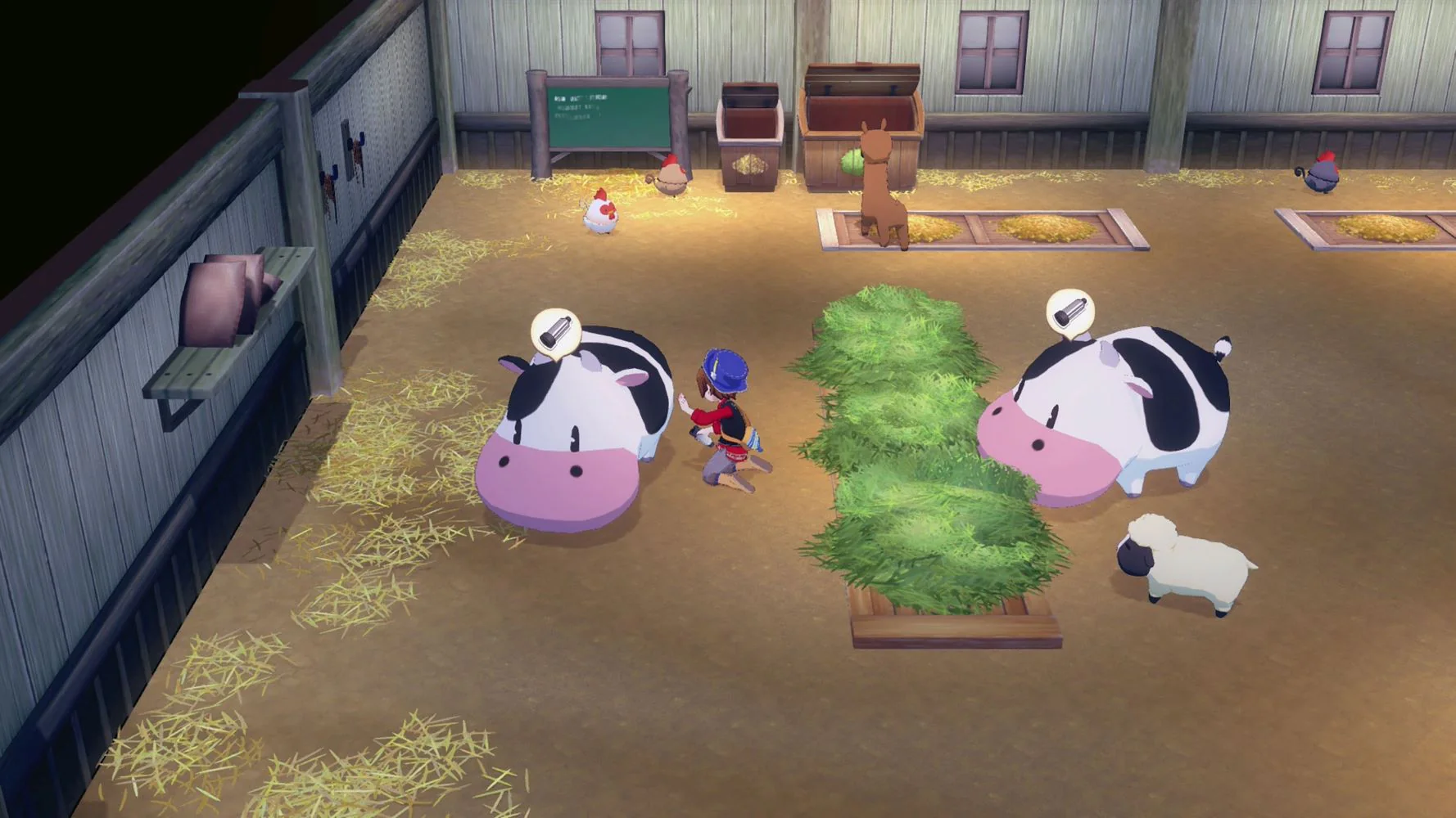 STORY OF SEASONS: Grand Bazaar (Switch) - Image 2