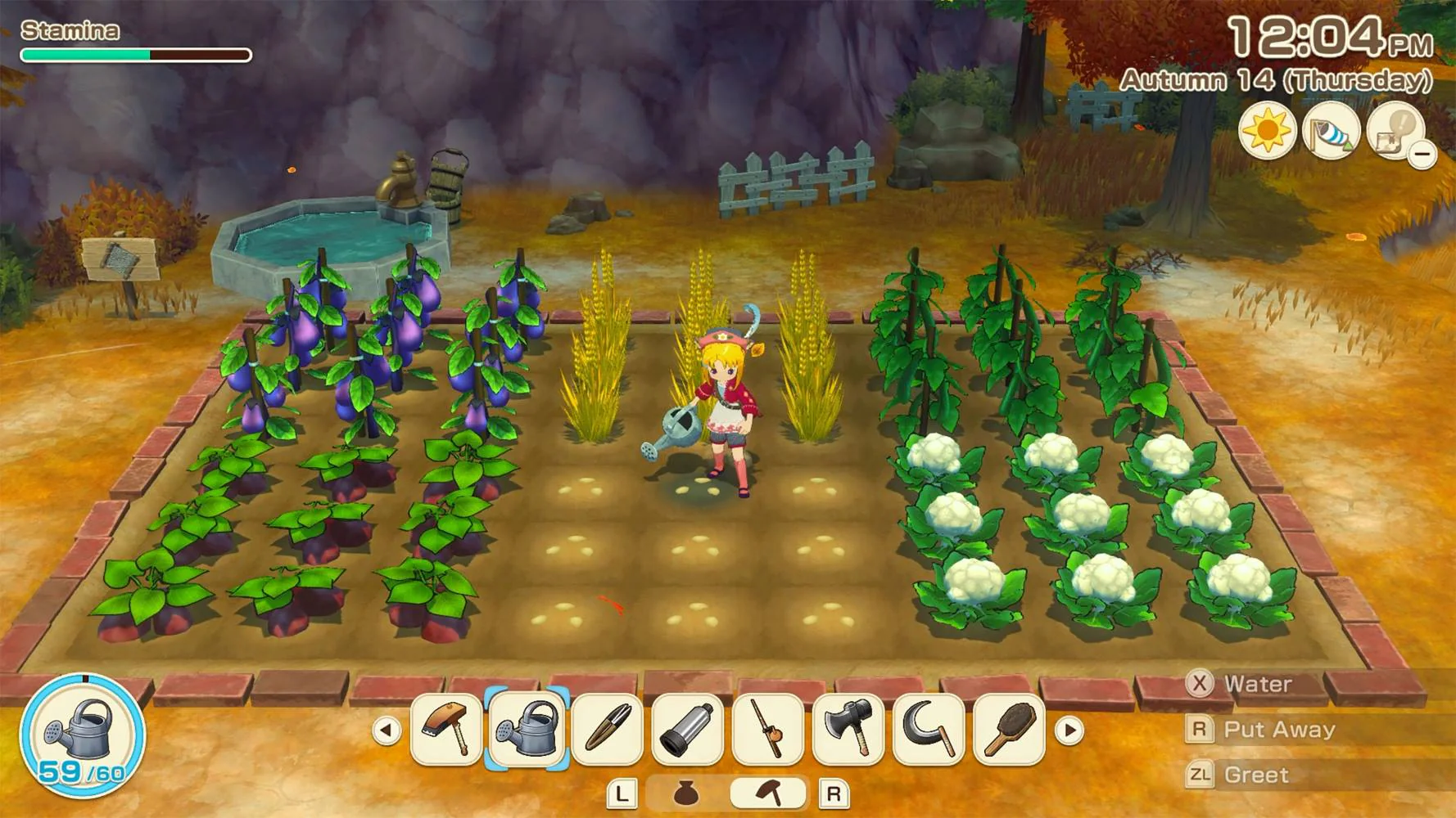 STORY OF SEASONS: Grand Bazaar (Switch) - Image 6